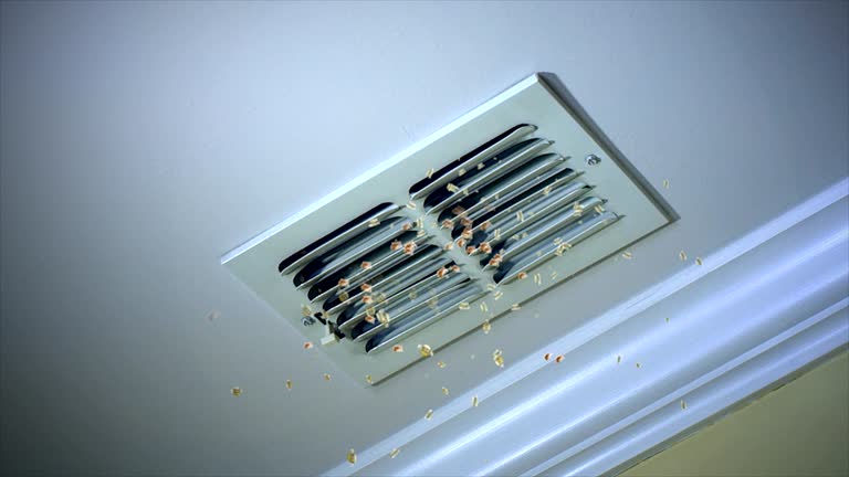 Best Commercial Air Duct Cleaning  in Loma Ri, CA